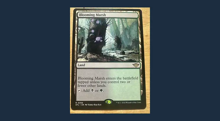 The Verge Lands - Best Turn-One Color Guarantee