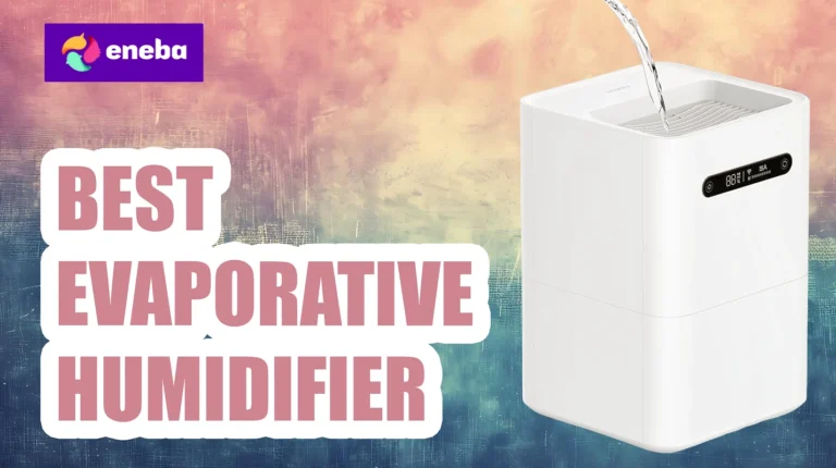 9 Best Evaporative Humidifiers in 2026 for Home Comfort