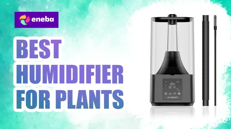 9 Best Humidifiers for Plants in 2026 for Healthy Growth