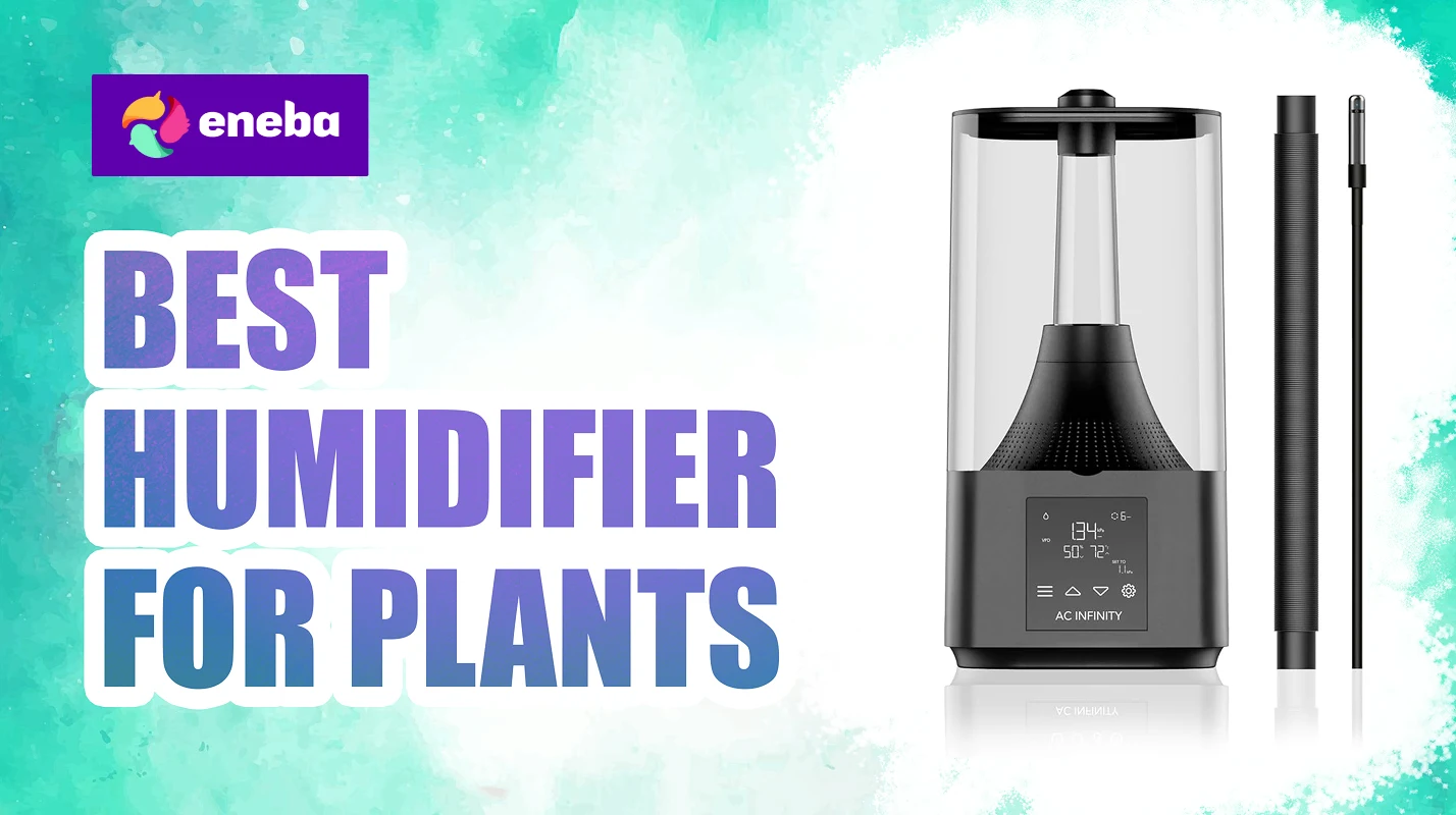 9 Best Plant Humidifiers for Gamers in 2026 | Eneba Hub