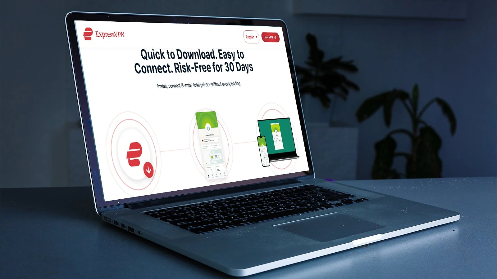 ExpressVPN - User-Friendly VPN for the Dark Web