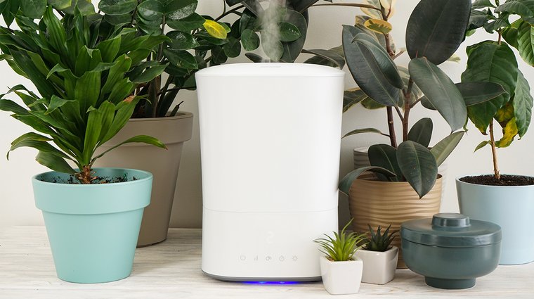 A humidifier releasing mist in the center of a group of indoor plants.
