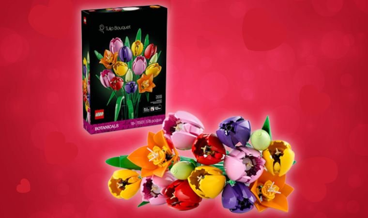 LEGO Botanicals - A Creative Valentine's Gift for Gamers