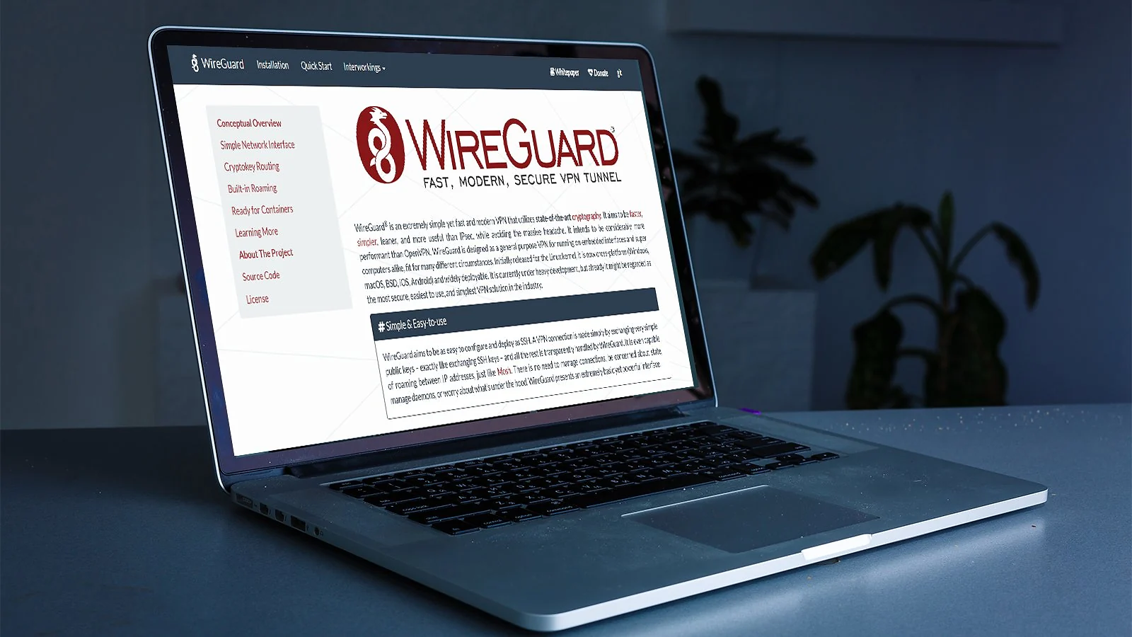 Protocol Selection for Dark Web Use