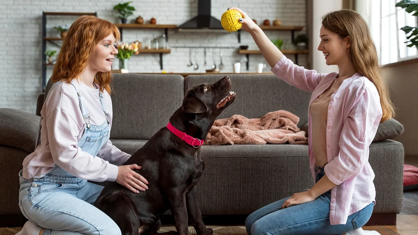 two girls playing with a dog