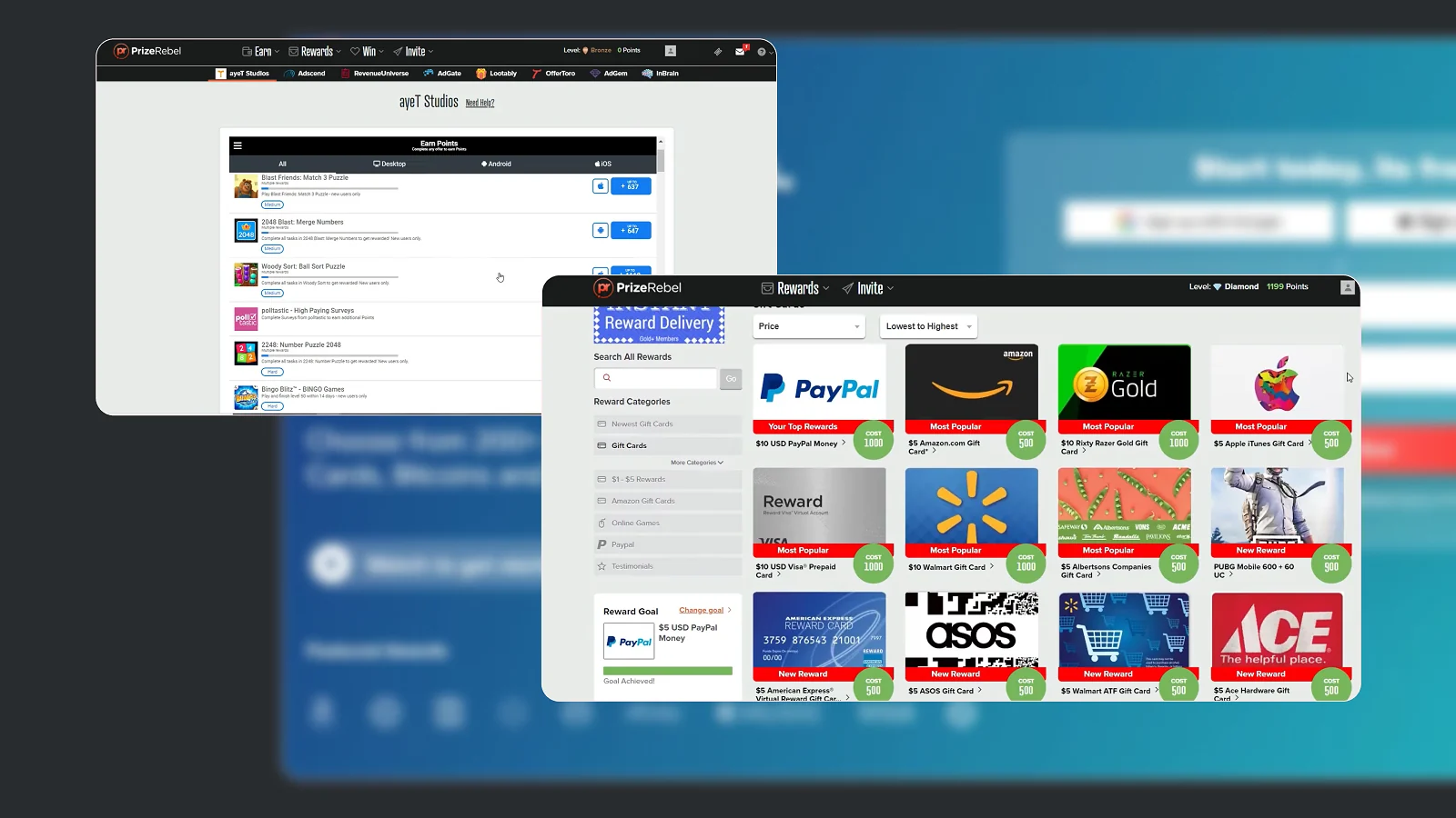 Prizerebel website pages