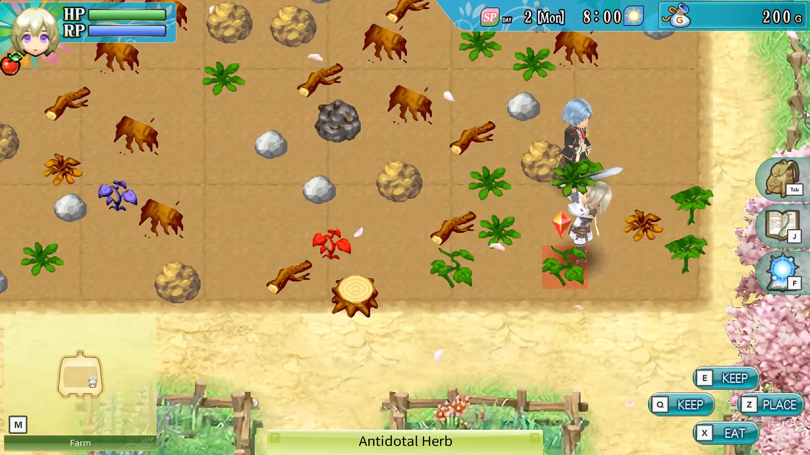 Planting an Antidotal Herb in Rune Factory 4