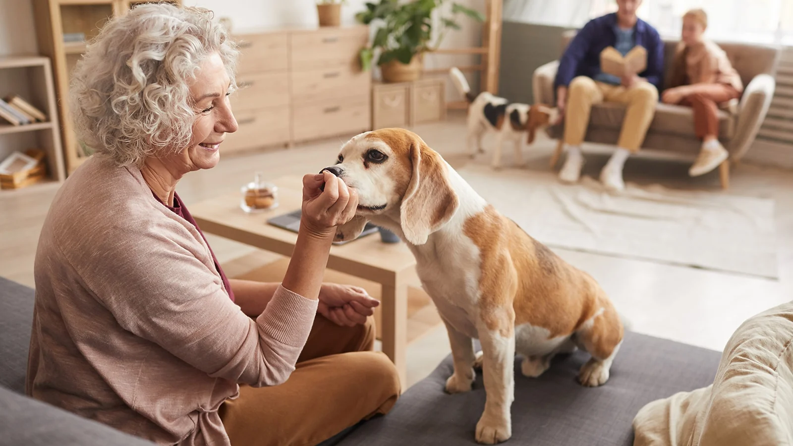 A woman playing with a dog