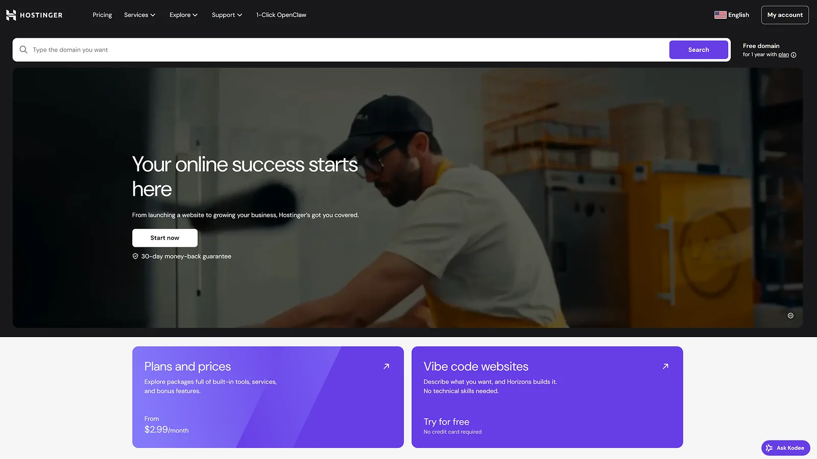Hostinger: Web and Game hosting services