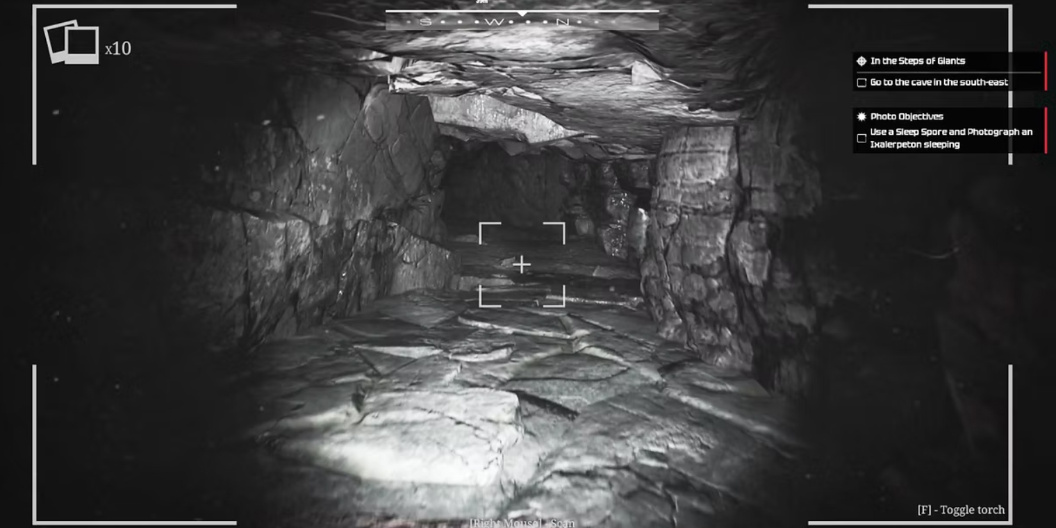 WILDERDARK cave image