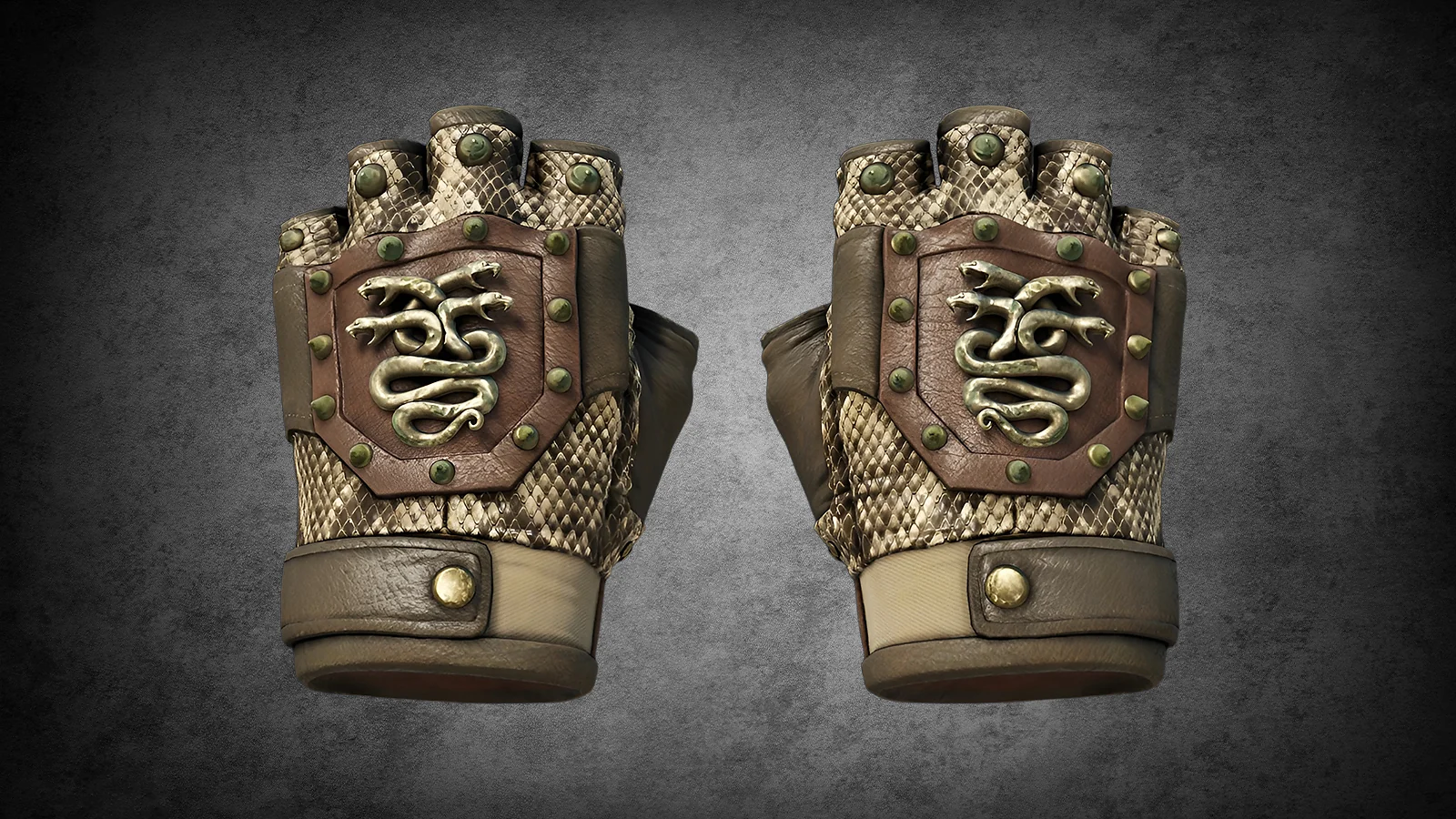 CS2 Revolution Case Hydra Gloves Rattler