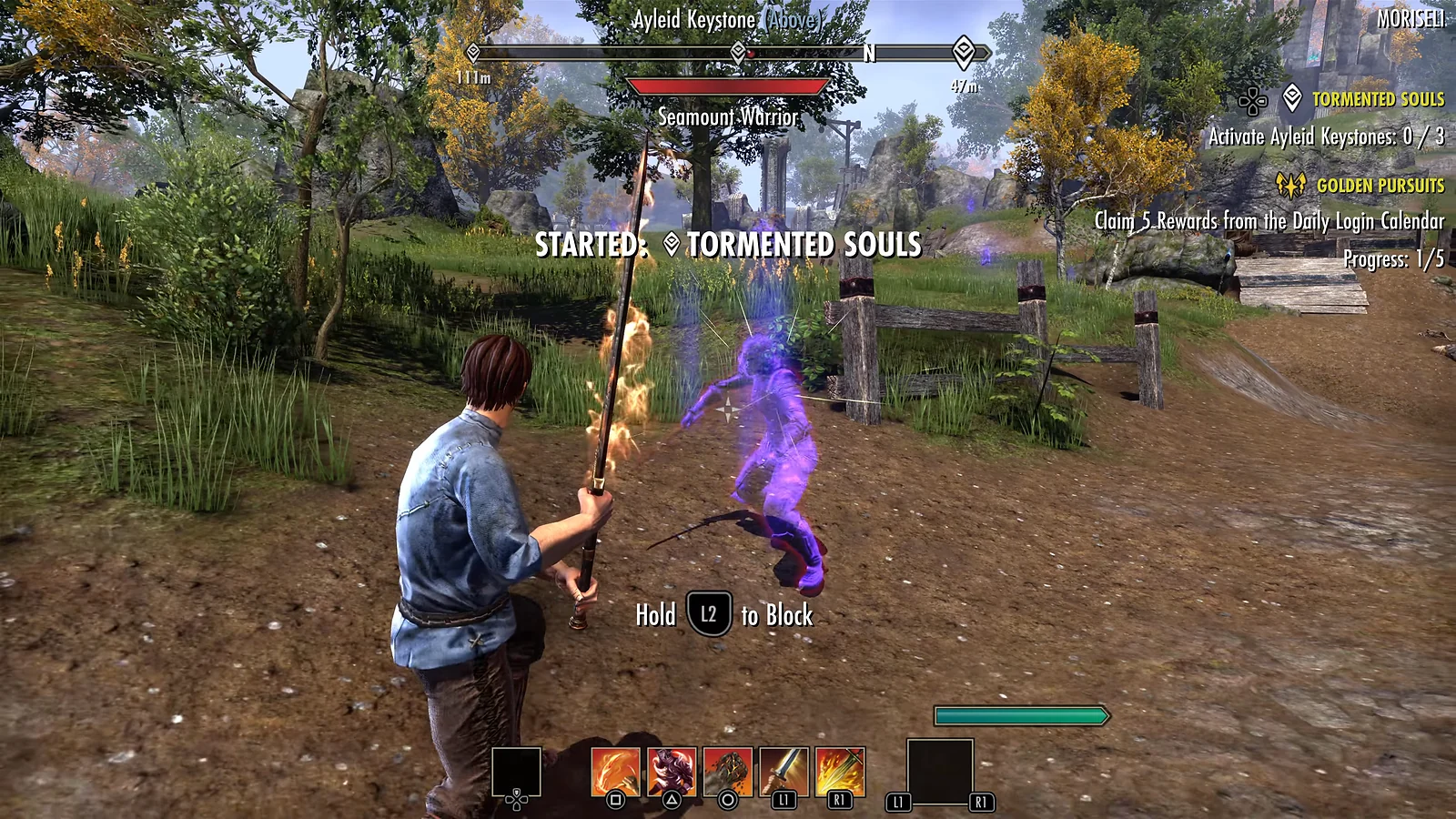 The Elder Scrolls Online - Best MMORPG Experience
