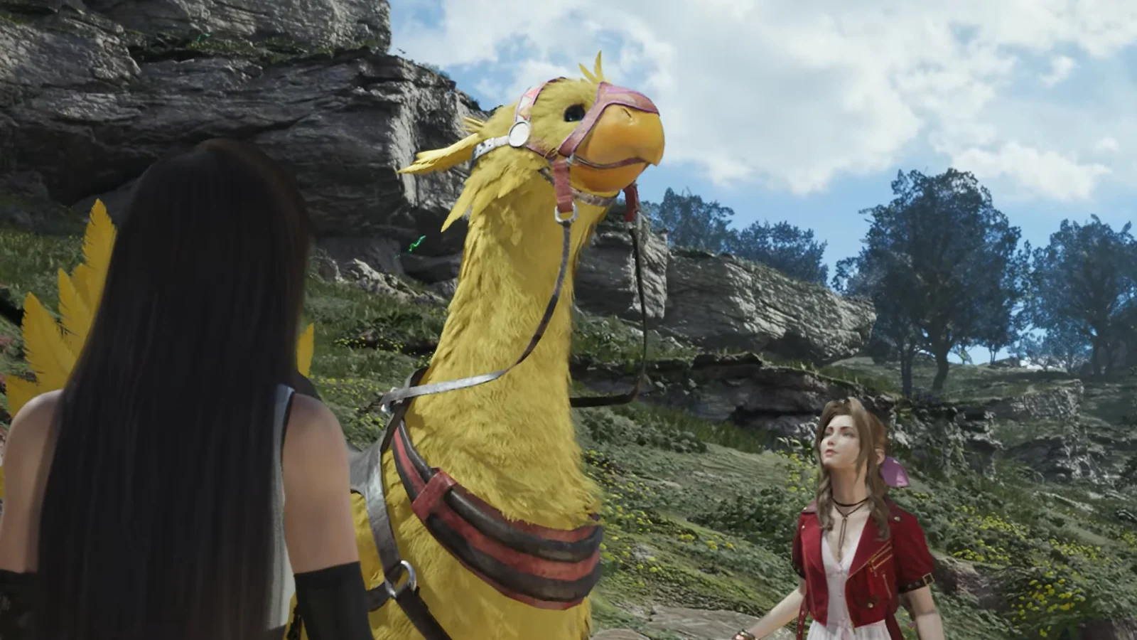 Ein Gameplay – Chocobo