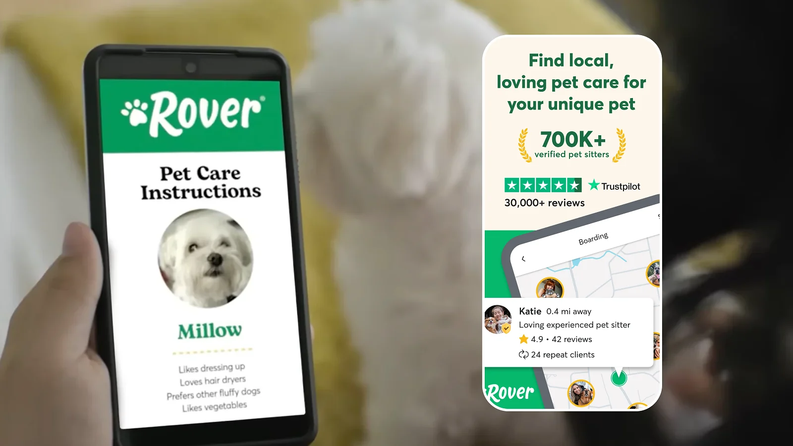 Rover app