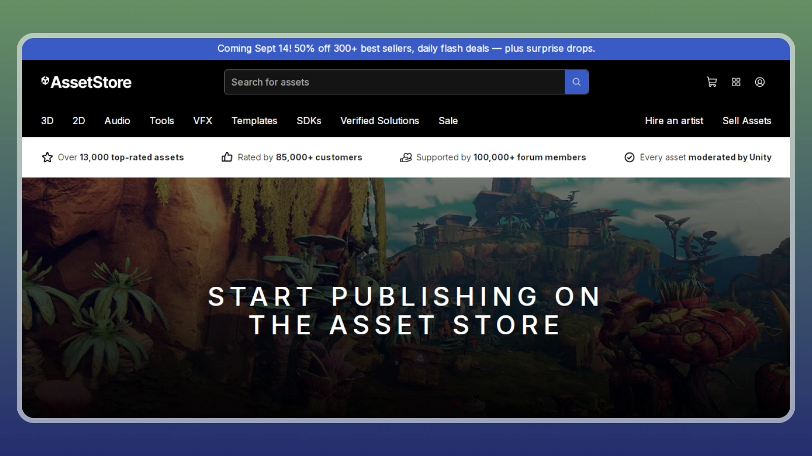 Asset Store website