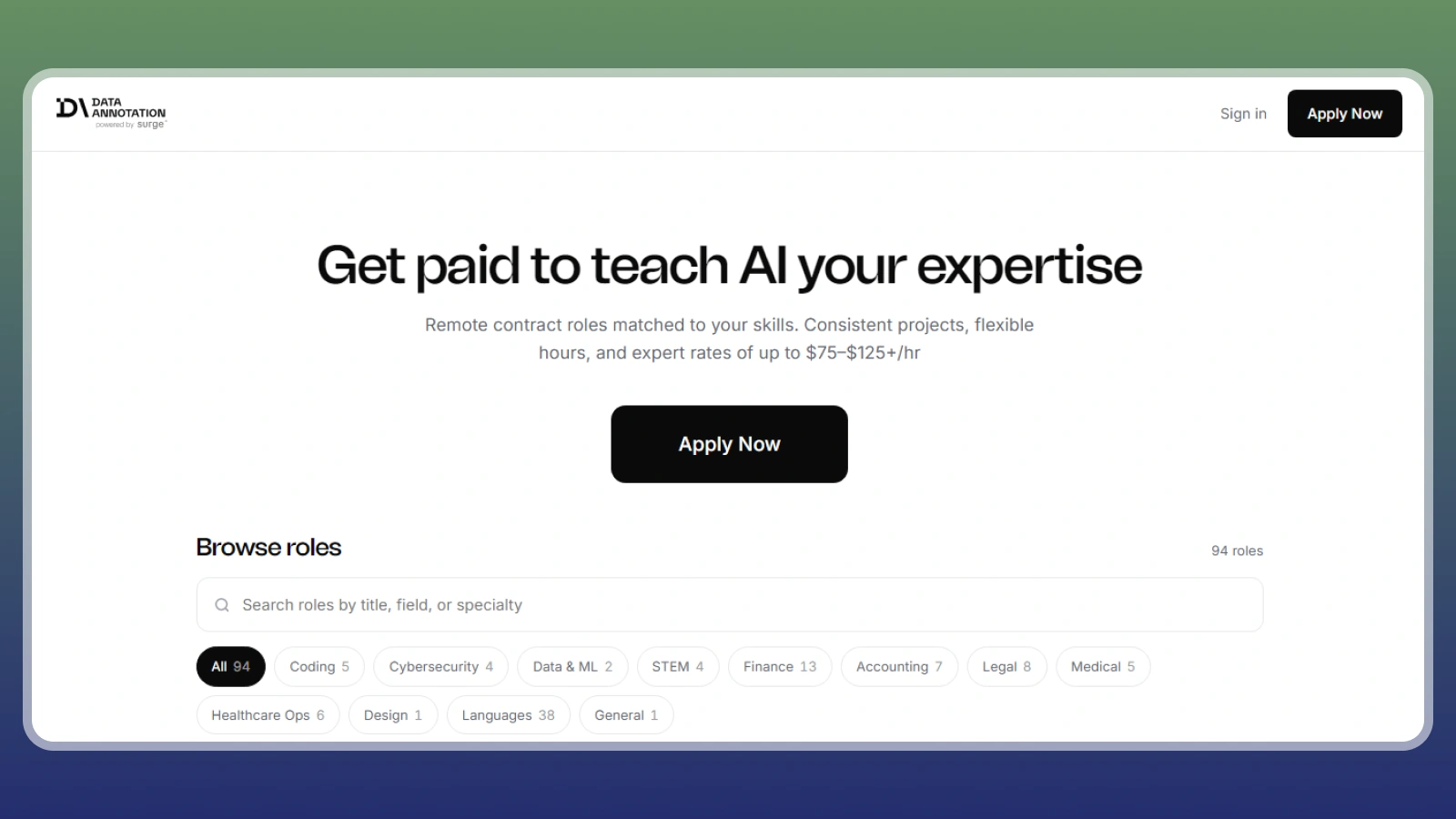 DataAnnotation website
