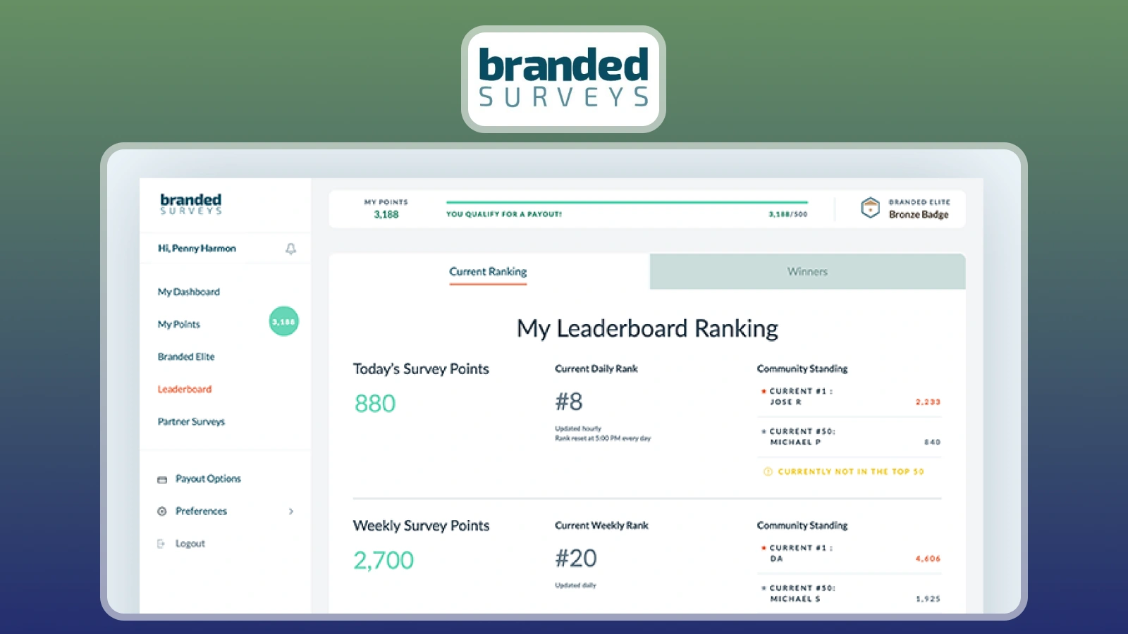 Branded Surveys leaderboard ranking