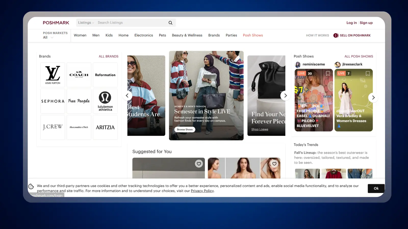 website homepage