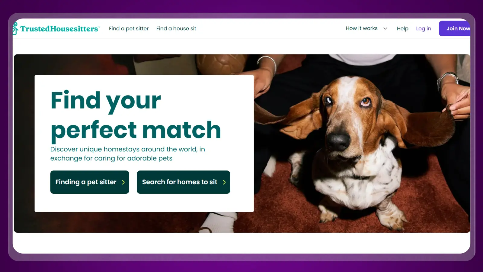 trustedhousesitters website