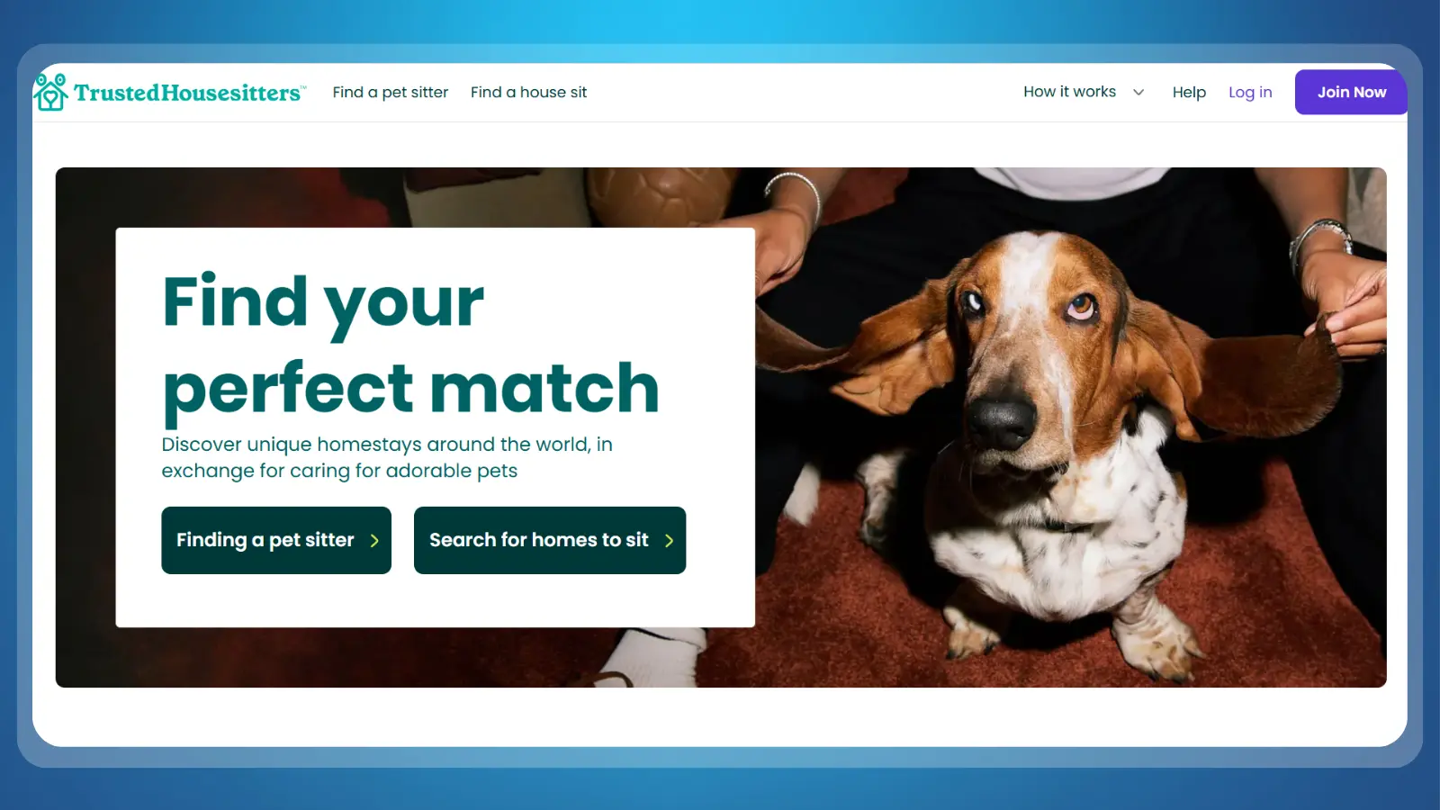 página web de Trusted Housesitters