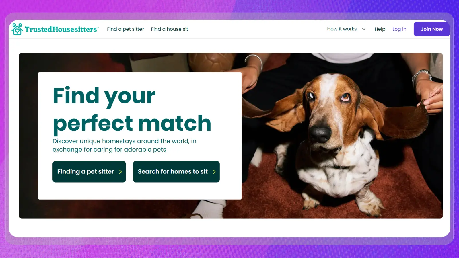 página web de Trusted Housesitters