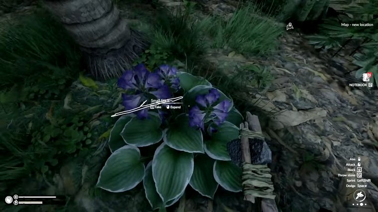 Green Hell - Le meilleur jeu pour une expérience de survie en pleine jungle ultra-réaliste