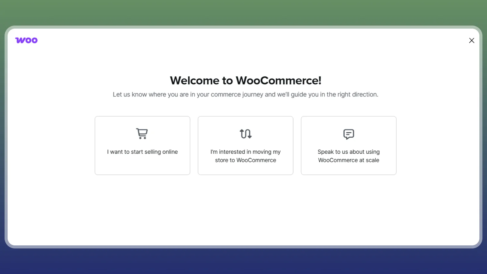 WooCommerce website