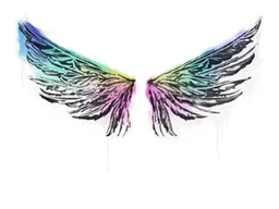 Graffiti | Wings