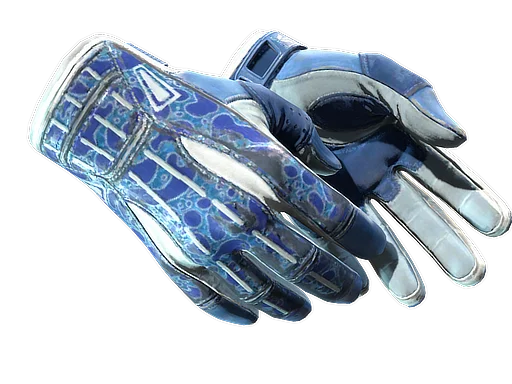 Sport Gloves | Amphibious