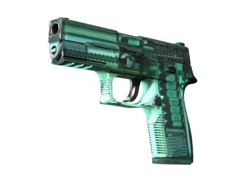 P250 | X-Ray