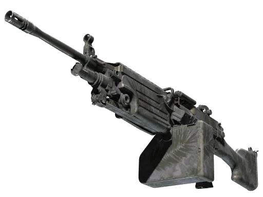 M249 | Midnight Palm