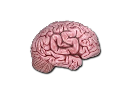 Sticker | CS On The Mind