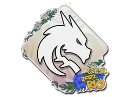 Sticker | Team Spirit | Rio 2022