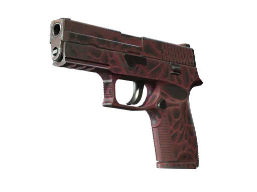 P250 | Contaminant