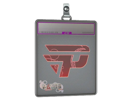 Sticker Slab | paiN Gaming (Holo) | Paris 2023