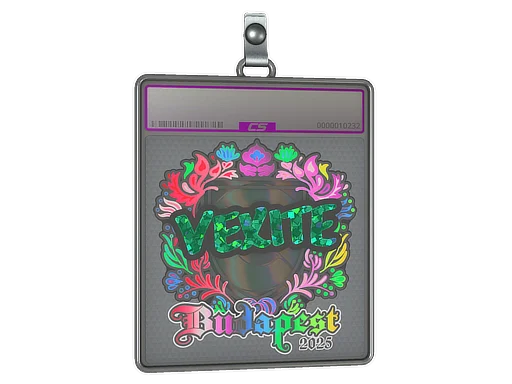 Sticker Slab | vexite (Holo) | Budapest 2025