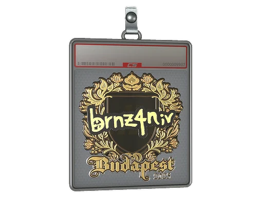 Sticker Slab | brnz4n (Gold) | Budapest 2025