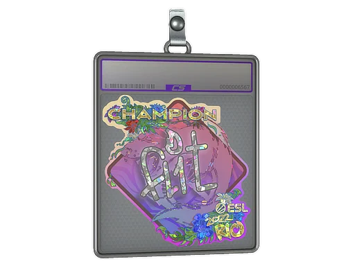 Sticker Slab | FL1T (Glitter, Champion) | Rio 2022